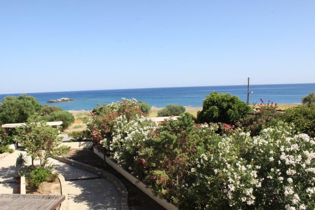 Athina Villa คิโอตาริ ภายนอก รูปภาพ